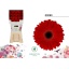 product/img.floraplaza.nl/LGERROD-LIVE_fotos-0x76559A030943CCE1D5444BAF2E79EAFE80E2150C.jpg