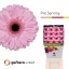 product/img.floraplaza.nl/LGERSEM-LIVE_fotos-0x4B0AD79B95D3F8786710EFE22A244C5F69629E1C.jpg