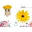 product/img.floraplaza.nl/LGERSOL-LIVE_fotos-0xB8CD0F87F60C47F2B42C6896236CE4B595F9E57B.jpg