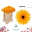 product/img.floraplaza.nl/LGERSTA-LIVE_fotos-0x31C19FCE20EBFCDAB51BF25D16084EAB8178EEA2.jpg