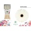 product/img.floraplaza.nl/LGERWHIH-LIVE_fotos-0xBFB6D63EF501B8D45DDB637CD99CBE3EF033C1A6.jpg