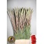 product/img.floraplaza.nl/LGLACOS-LIVE_fotos-0x3DBB31546B2DF70E0B2A9EA0F33510D896231EF0.jpg