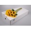 product/img.floraplaza.nl/LHELORAF8-LIVE_fotos-0x371B775FF9185491162DE9A590607C73A98316EF.jpg