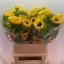product/img.floraplaza.nl/LHELORAF8-LIVE_fotos-0x6DEA76905014746B569D3048691F9555F5ED757A.jpg