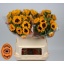product/img.floraplaza.nl/LHELORAF8-LIVE_fotos-0xA3F1AD640A3593AFF5333857976D40406D5A80DC.jpg