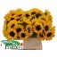 product/img.floraplaza.nl/LHELORAF8-LIVE_fotos-0xBC3540EF188B6E2D15A268285AC7137497033D61.jpg