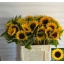 product/img.floraplaza.nl/LHELSUNOR6-LIVE_fotos-0xC075949B9D478F2FF7AE6AC8E8850CF7A360949C.jpg