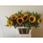 product/img.floraplaza.nl/LHELSUNOR8-LIVE_fotos-0xADC1DAF61FD11F7DA4ADAE7824B9B9514A2A29D4.jpg