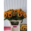 product/img.floraplaza.nl/LHELSUNP8-LIVE_fotos-0xD94045970B7202E877569A96D98F22B6B0A2B8E2.jpg