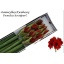 product/img.floraplaza.nl/LHIPFER-ASSORTI_fotos-MVA-Knoppert - Hippeastrum ferrari x10.jpg
