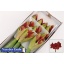 product/img.floraplaza.nl/LHIPFER-ASSORTI_fotos-MVA-vd Ende - Hippeastrum ferrari x10.jpg