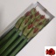 product/img.floraplaza.nl/LHIPFER-LIVE_fotos-0x416117D020DB63E86ACE06A8721245BC9860ACA5.jpg