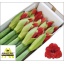 product/img.floraplaza.nl/LHIPFER-LIVE_fotos-0x9790B7E77CEF1B3ADD05B59BF1D1C7162CAD5F75.jpg