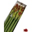 product/img.floraplaza.nl/LHIPFER-LIVE_fotos-0xE830B42922F8E2F00FD9FB9E4038BFEA64B21FE2.jpg