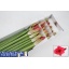 product/img.floraplaza.nl/LHIPISA-LIVE_fotos-0x41D52C533E23E2667EA4C2C7128680FECF3DCFE2.jpg
