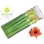 product/img.floraplaza.nl/LHIPRIL-LIVE_fotos-0xC6BD61EEEA9DAFBD221A79FA98C905C17CAA9FFA.jpg