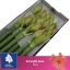 product/img.floraplaza.nl/LHIPSUZ-LIVE_fotos-0x561F50D698F8158ABE114C3E3AE3D7CC8265A55B.jpg