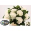 product/img.floraplaza.nl/LHORALB8-LIVE_fotos-0xBBE8C016069982E191CE15942EB6B75E76562881.jpg
