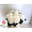 product/img.floraplaza.nl/LHORSCH8-LIVE_fotos-0xE2D07725D44A526E1D1FFC6FF8ADC5B5FA909F33.jpg