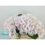 product/img.floraplaza.nl/LHORSWVER5-LIVE_fotos-0x6EA8D36E5AC85B8C85B8134AFEF7DA1D6C70867C.jpg