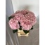 product/img.floraplaza.nl/LHORVER6-LIVE_fotos-0x4A3C059F1C0D1C199BF3F5E7F47869821CC02D02.jpg