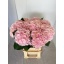 product/img.floraplaza.nl/LHORVER8-LIVE_fotos-0xC43C03EC11822B5244FD722240B5224F08A512CB.jpg
