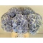 product/img.floraplaza.nl/LHORVERB8-LIVE_fotos-0x49DEDA403A6C1A09F3820575642F1C2CBF39AD79.jpg