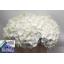product/img.floraplaza.nl/LHORWHIVE5-LIVE_fotos-0x3F35C9D0FAB2B1CB07A249988C452520B813D404.jpg