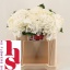 product/img.floraplaza.nl/LHORWHIVE5-LIVE_fotos-0x3F761753C3E8138E6E10BA23D1A3591F6B9721C2.jpg