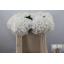 product/img.floraplaza.nl/LHORWHIVE5-LIVE_fotos-0xB810B3161BFEEFAB560C5C03634596E2CFA2191C.jpg