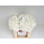 product/img.floraplaza.nl/LHORWHIVE5-LIVE_fotos-0xFF3B71DC4A5CCD3E8A7BB5384CCE2DB54008C7F5.jpg