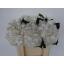 product/img.floraplaza.nl/LHORWHIVE5-LIVE_fotos-0xFF410C7546112914AFEDC0378DA1572525832DC1.jpg
