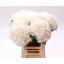 product/img.floraplaza.nl/LHORWHIVE6-LIVE_fotos-0x79B218E4E1452F0738E45471DC226616739CD25B.jpg