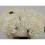 product/img.floraplaza.nl/LHORWHIVE6-LIVE_fotos-0xCA8063DAF5CE1C6BADF015DED6AAAF8604917D3B.jpg