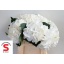product/img.floraplaza.nl/LHOTSCH4-LIVE_fotos-0x0AF2C31B24D19392990301B91CAD77B899CFAAE4.jpg