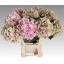 product/img.floraplaza.nl/LHOTVERC6-LIVE_fotos-0xB9C98FA7E99F899399CBF8E06AA3818131BA1FD1.jpg