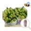 product/img.floraplaza.nl/LHYACHIP-LIVE_fotos-0xF96F38386A8E632E0A0C967D43306C14B40E96BE.jpg