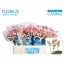 product/img.floraplaza.nl/LHYPCOCAP5-LIVE_fotos-0x1248D6DDBFFBF6AEB24BC1E8EDF0541394EF6DF5.jpg