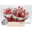 product/img.floraplaza.nl/LILEX6-ASSORTI_fotos-MVA-Ilex 60cm Tosflo.jpg