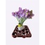 product/img.floraplaza.nl/LLATHBLUW-LIVE_fotos-0xC2236F81E8E2D7EC85A4A154FCBD662A6AEBF145.jpg