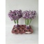 product/img.floraplaza.nl/LLATHBLUW-LIVE_fotos-0xF6A6BBA1961C592A631E8DE8FA559237E6702F12.jpg