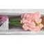 product/img.floraplaza.nl/LLATHCHAK-LIVE_fotos-0xA27C4DAB58C86BC070226B434B8803A4F7CA26C9.jpg