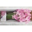 product/img.floraplaza.nl/LLATHROSW-LIVE_fotos-0x105921F543FC2D5E32CA87AEA0215D5AEC95CA59.jpg