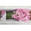 product/img.floraplaza.nl/LLATHROSW-LIVE_fotos-0x5A4AFBCB2A2DABF3527B595335D30396B60C7AAF.jpg