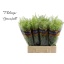 product/img.floraplaza.nl/LLEP6GREB-LIVE_fotos-0xD3A2095D4270A72923EDEAAA67D760CF722EDBBF.jpg