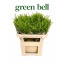 product/img.floraplaza.nl/LLEPGREB7-ASSORTI_fotos-MVA-thlaspi green bell Florsani.jpg