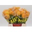 product/img.floraplaza.nl/LLEUJEL4-LIVE_fotos-0xB02A3B258700B3EB4B4357164F4BF09373FD9F30.jpg