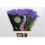 product/img.floraplaza.nl/LLIMLILSUNB7-LIVE_fotos-0xB2ABE6E4CA30A00C9EED51F4274C6FC720959C70.jpg