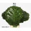 product/img.floraplaza.nl/LMONLE7-LIVE_fotos-0x28086BF569FC8D017D7AA2F2E9BCA1DAC6B5ED45.jpg