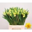 product/img.floraplaza.nl/LNARDIW-LIVE_fotos-0x57A65EDFA757D1BC3F6A8396E56D604B6A8F4924.jpg